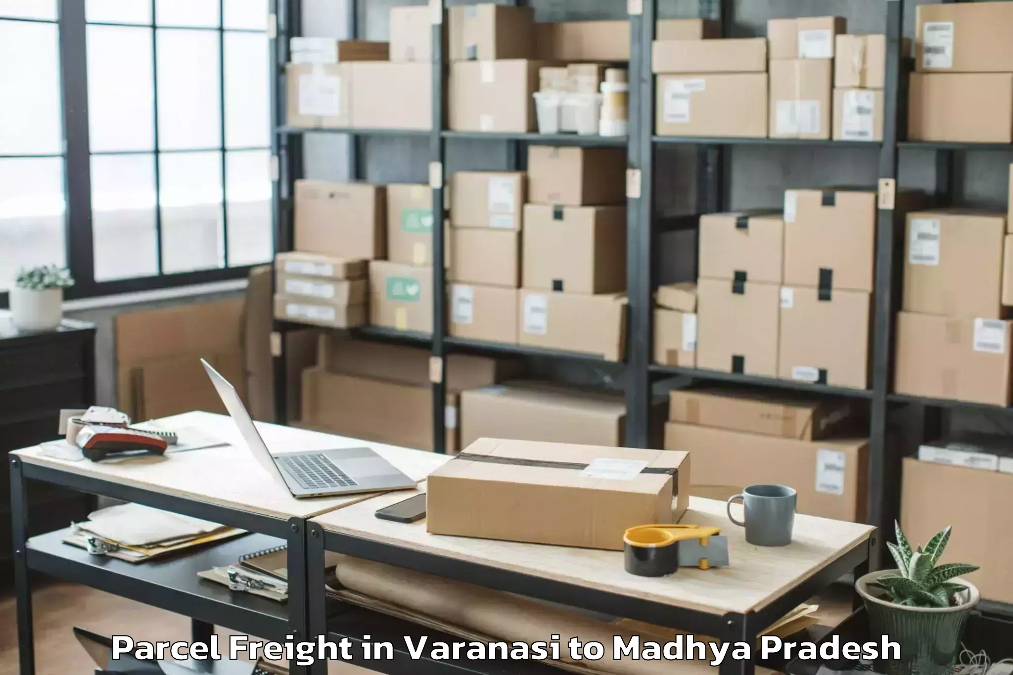 Expert Varanasi to Sardarpur Parcel Freight